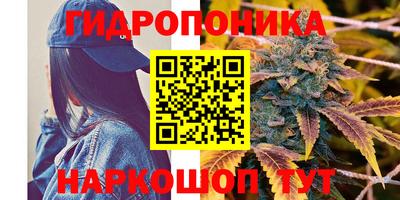 дмт Кулебаки